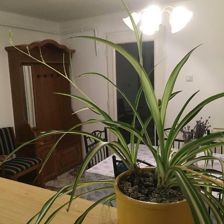 דירות Sümeg Levendula Apartmanhaz מראה חיצוני תמונה
