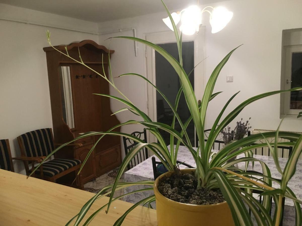 דירות Sümeg Levendula Apartmanhaz מראה חיצוני תמונה